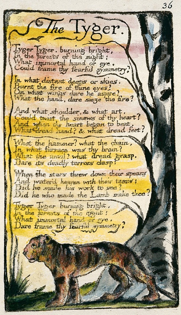 william blake tyger. William Blake (1757-1827)